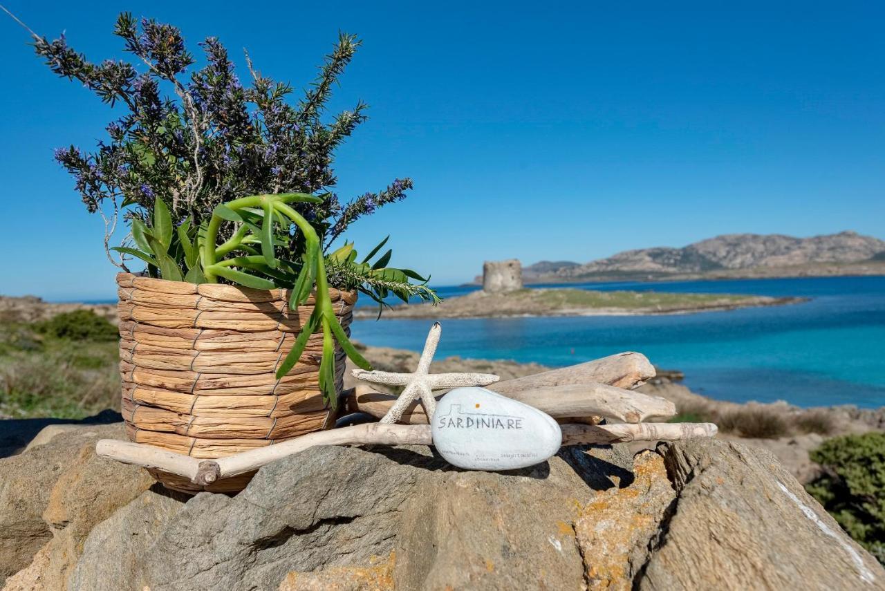 Sardinia Re - Villa Pelosa ستينتينو المظهر الخارجي الصورة