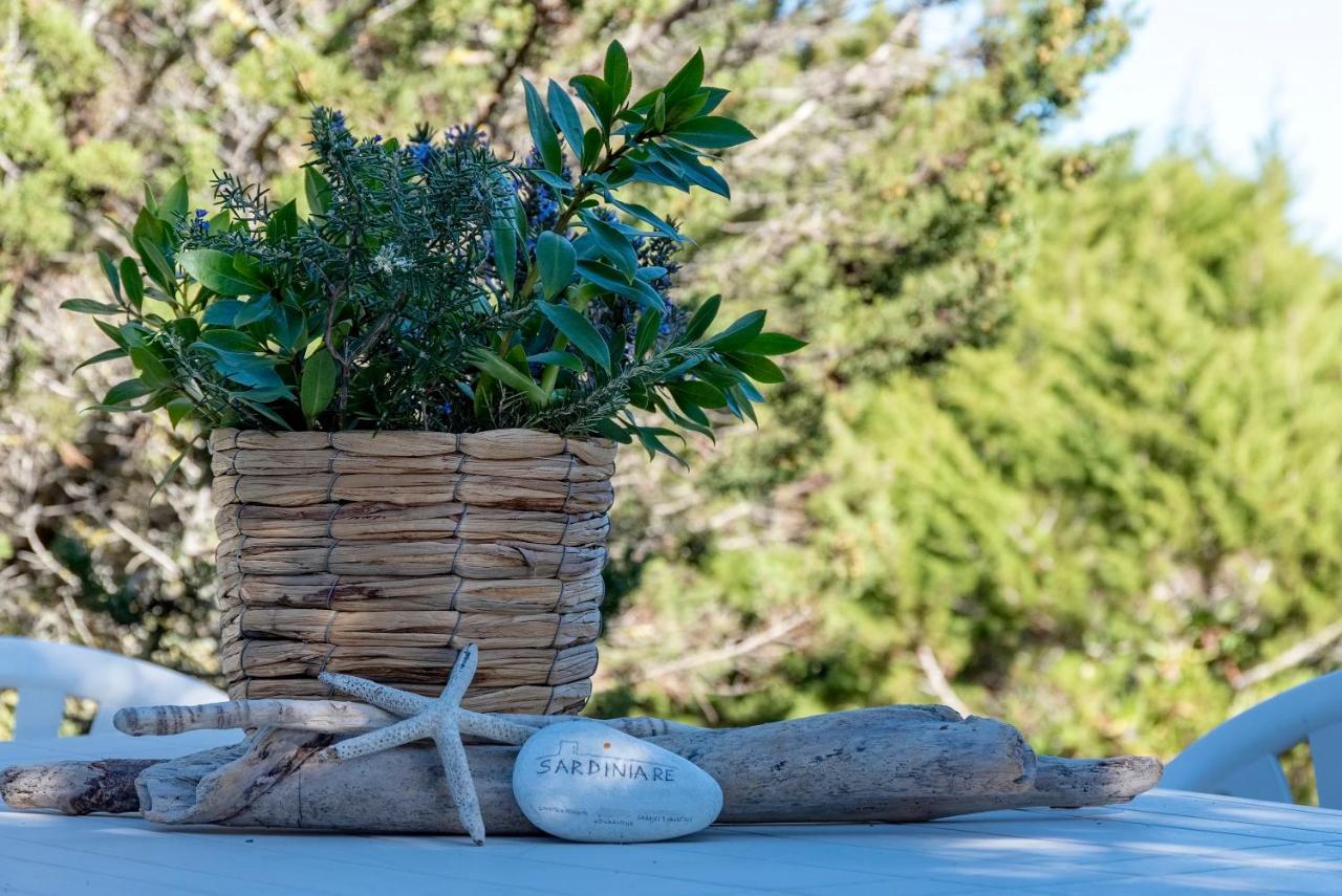 Sardinia Re - Villa Pelosa ستينتينو المظهر الخارجي الصورة