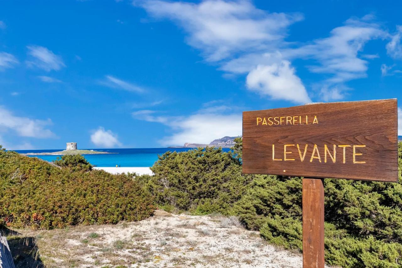 Sardinia Re - Villa Pelosa ستينتينو المظهر الخارجي الصورة